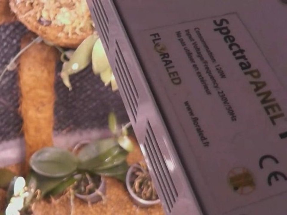 Eclairage horticole aux LEDs - SpectraPANEL 119 - Orchidées