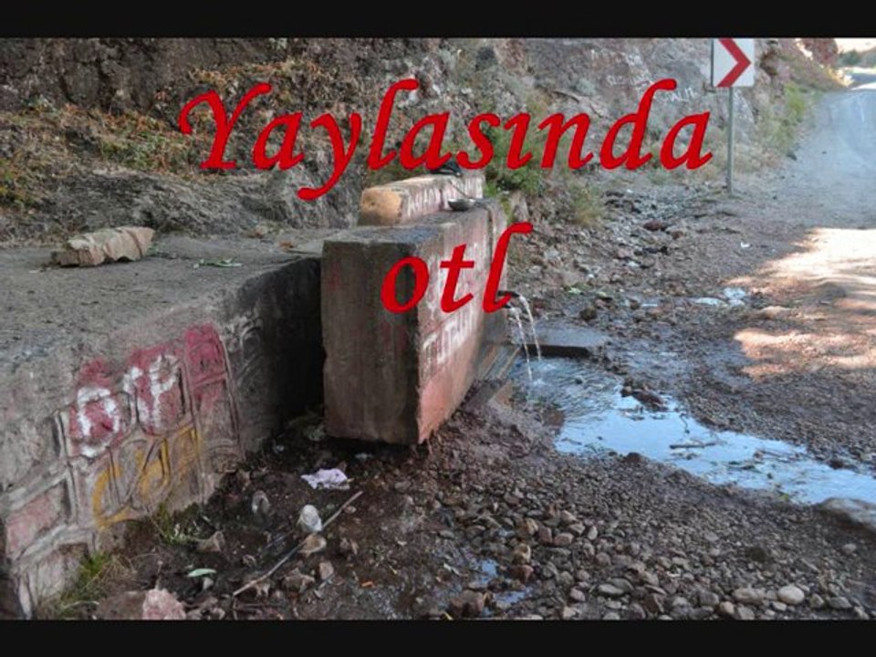 Giresun Alucra Arda Köyü