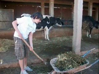 la ferme novembre 2010 zaouit tamounte maroc