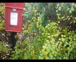 Forfar St James's Road Postbox