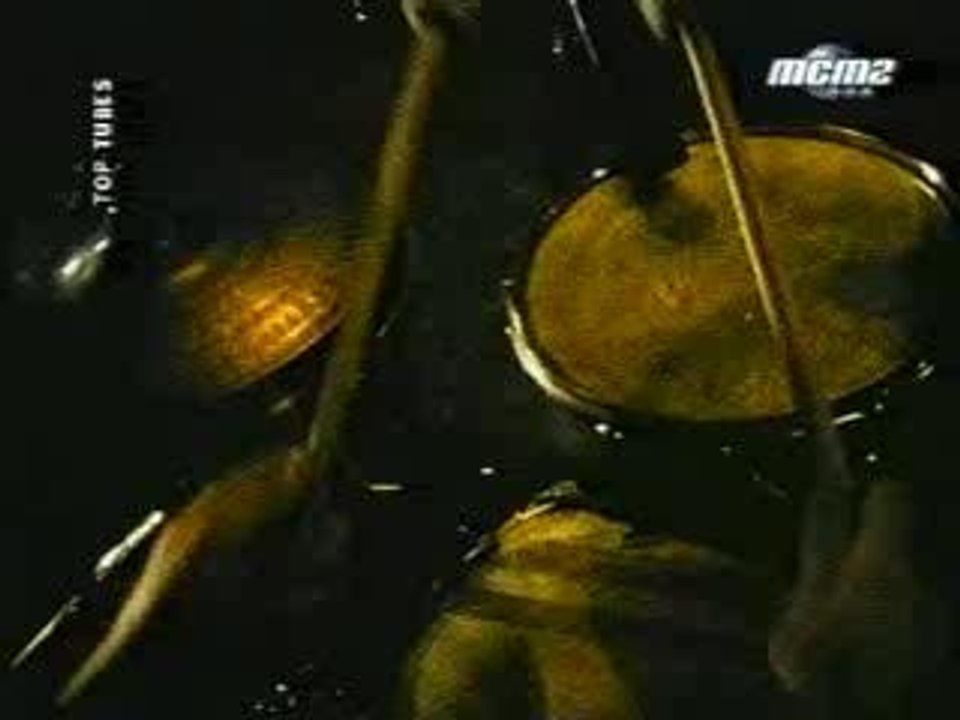 Tetes Raides - Les Bouquets