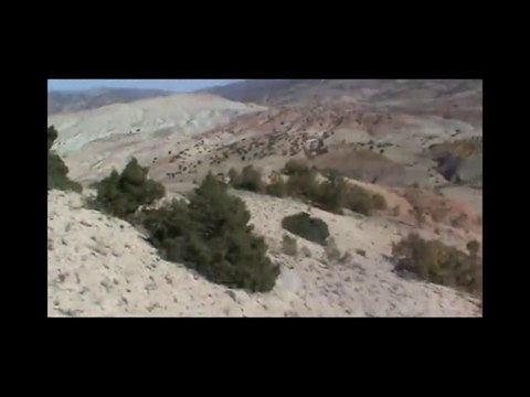 Malatya Keklik Avı ( avcilardunyasi.com)