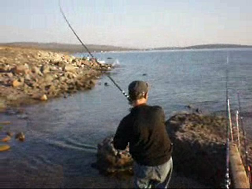 balikcilar.org&  Hasan BALIKÇI