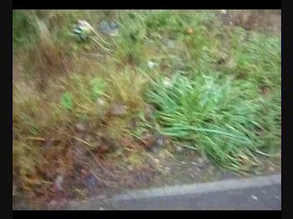 Forfar A Messy Old Age Pensioners Garden