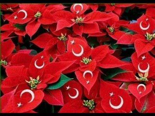 hakkı bulut-güzelsin