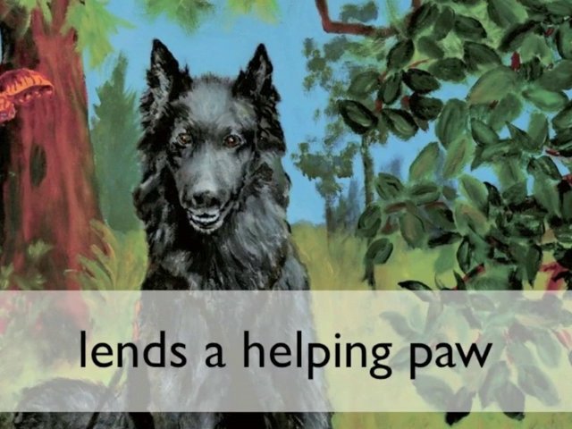 Camping equipment gear, kids outdoor adventure safety, pictu