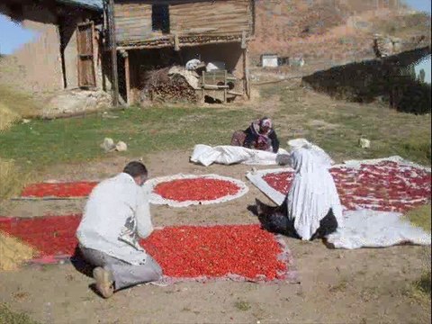 ÖZLÜ(DANZI) KÖYÜ- 2010 PİKNİK ALANI NECDET ÇAĞDAŞ
