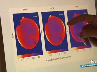Contaminacion luminica