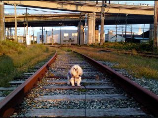 The Last Days of Summer 2010