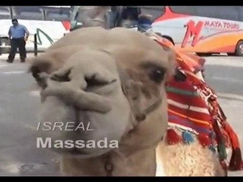 2007 - Israel Voyage de promo OMNIS
