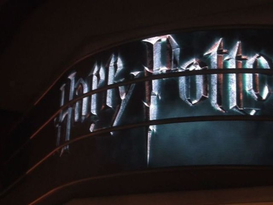 Les fans de Harry Potter à l'avant premiére au grand Rex
