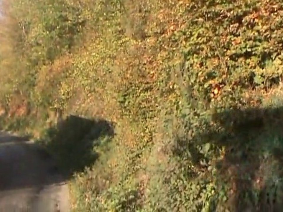 Sonbaharda Zonguldak Amasra Yolu - Autumn Road Zonguldak Ama