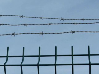 Calaisis TV : Néo...jourd'hui - 24 novembre - le fil barbelé