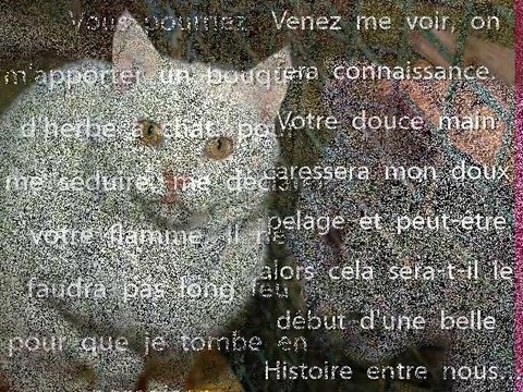 BOGUS vous attend au refuge de Beauregard