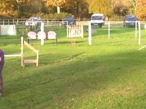 Eclipse Extérieur Couëron Palissade