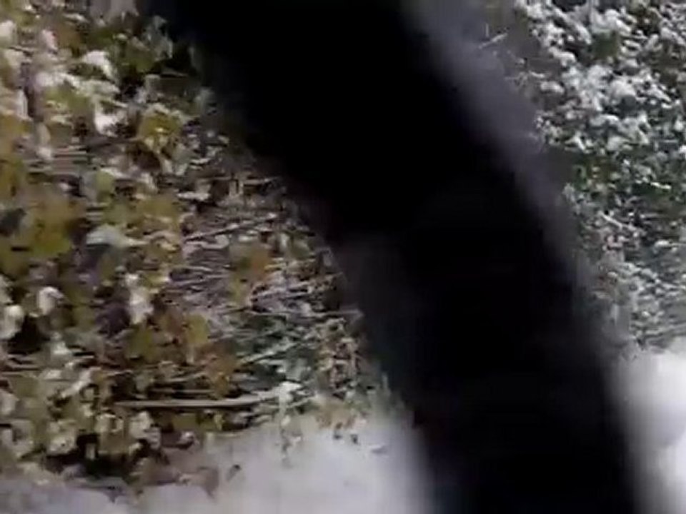 Continental WinterContact TS830 Tyres Honda Accord Kodak Zi8