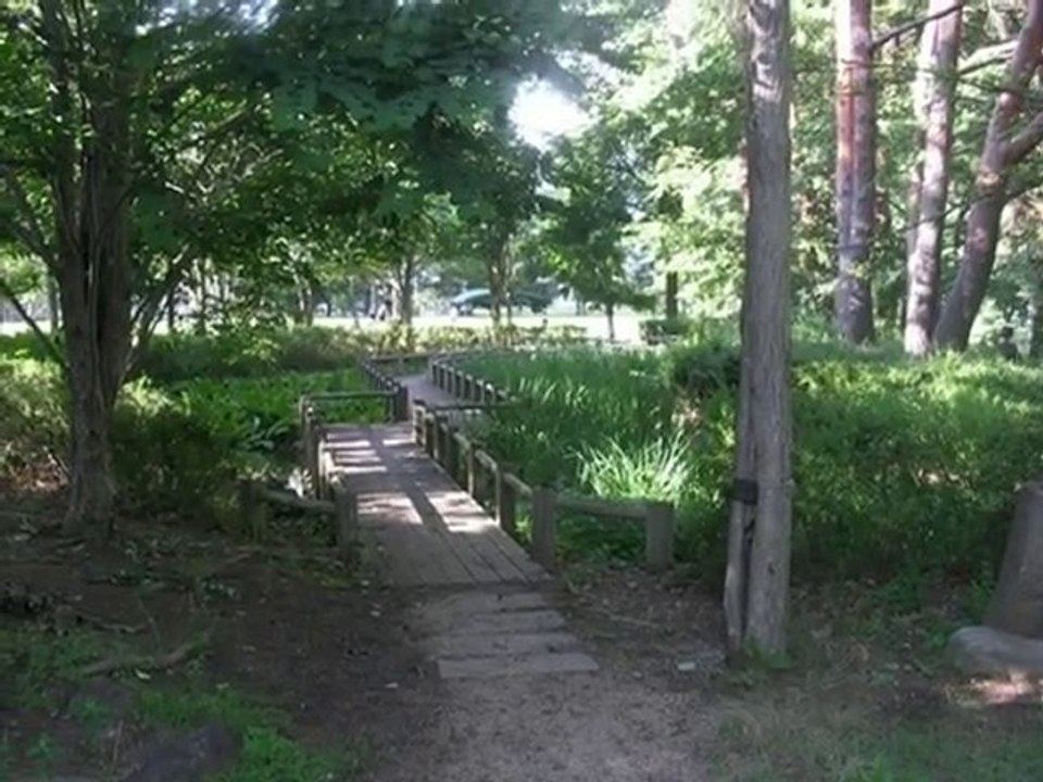 梅雨明けの松本公園NGM