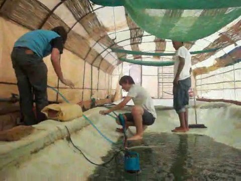 vidange bassin tamounte spiruline zaouit sidi ahmed