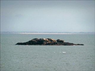 Le DER des DER : Chanson sur le plus beau caillou de Bretagne