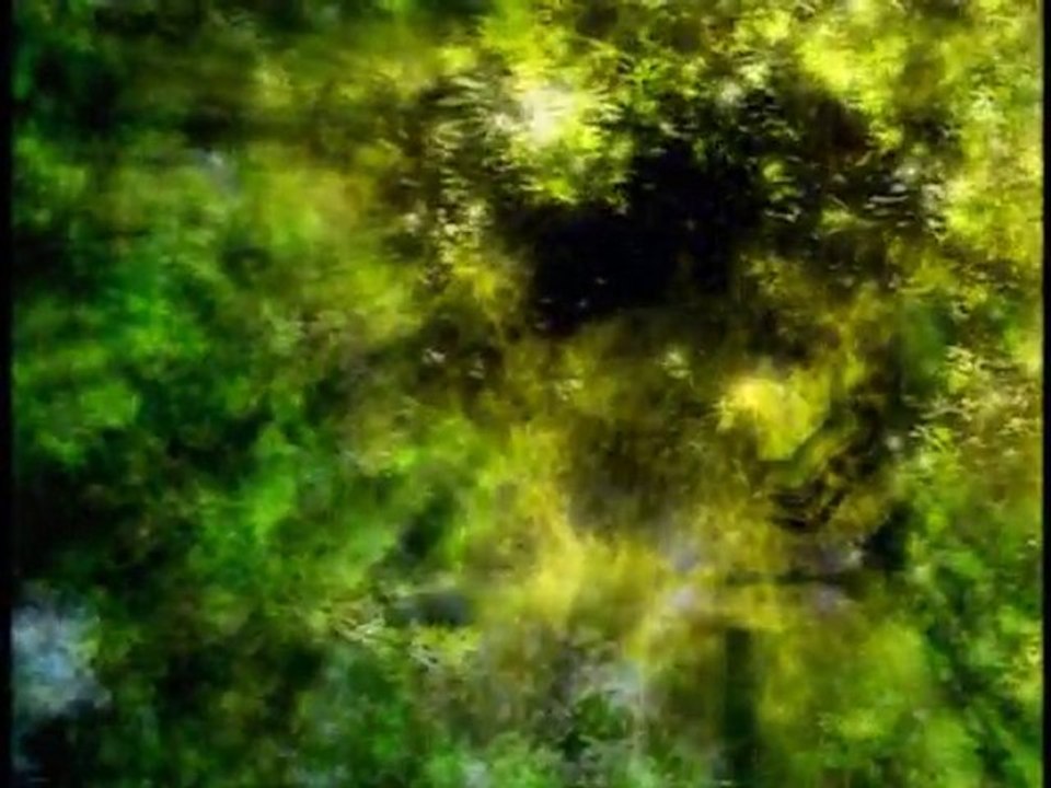 EarlyLight 2001