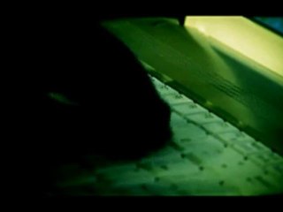 What U Wanna Do Music Video