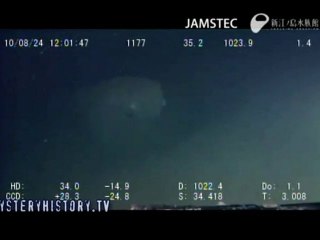 Alien / Ningen Sighting : Sagami Bay, Japan Aug 23 2010