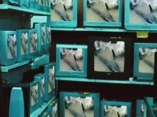 Biutiful HD Trailer - 2010