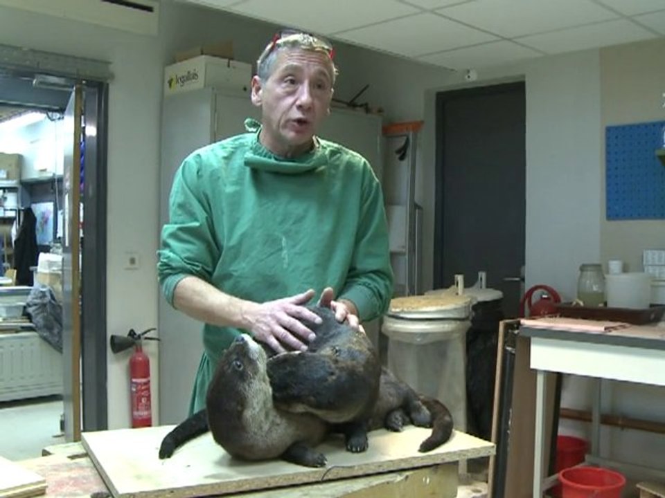 La Grande galerie de l'évolution: 10 millions de visiteurs