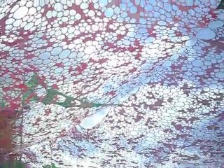 hadra lans en vercors 2010