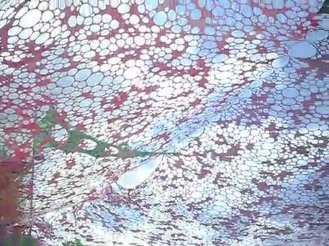 hadra lans en vercors 2010