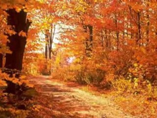 YILDIZ ÇAM - GÜZ MÜ GELDİ RENGİN SOLUK ( ÖMRÜM )