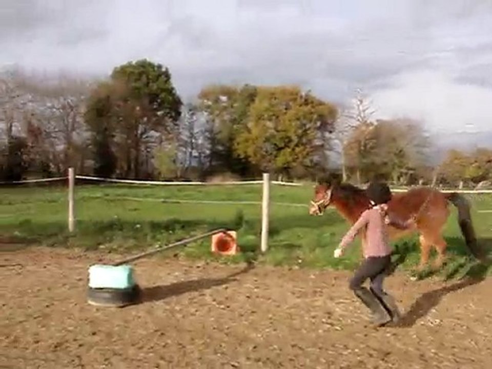 MOV09985 libert coub