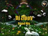 SPARTAN DEMO MIX by Dj Zippy