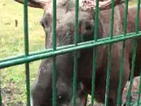 171.takaとkayoの世界旅行★ブレスト→ミンスクinベラルーシ