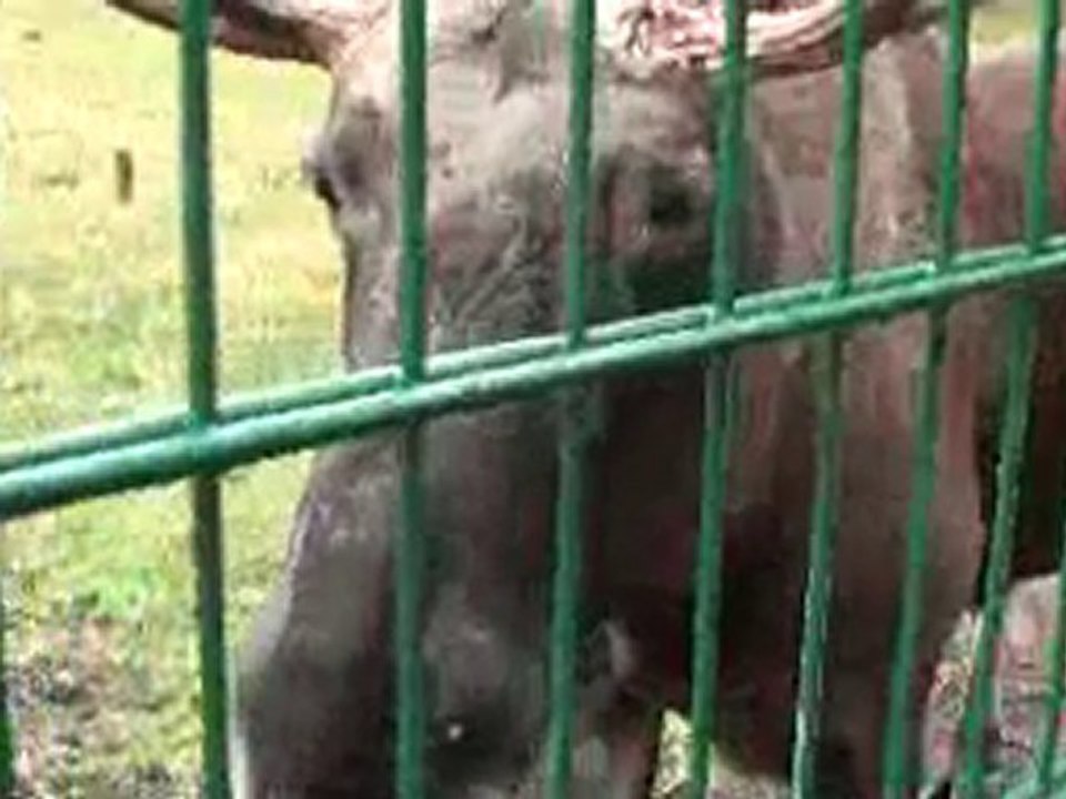 171.takaとkayoの世界旅行★ブレスト→ミンスクinベラルーシ