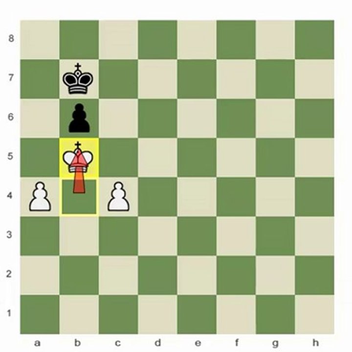 King and Pawn Endings: Stage 4