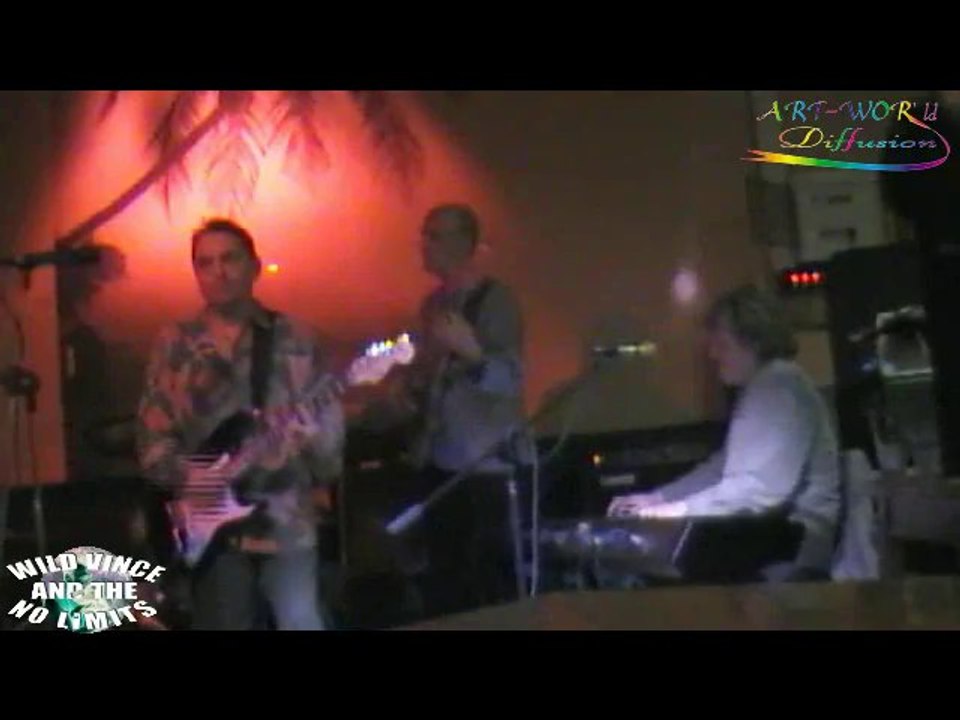 WILD VINCE & The No Limits (12) Au RELAIS T.I.R. 19/11/2010