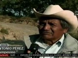 Deforestación en La Malinche, uno de los pulmones más importantes de México