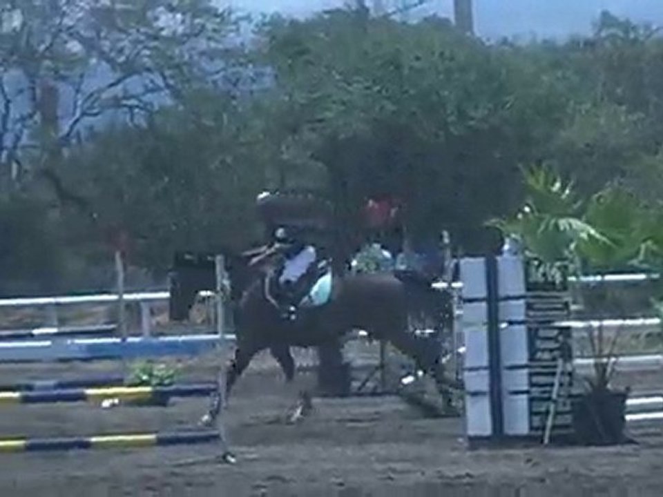 21.11.10 - CSO club à EMR - Jeunes Chevaux-EliasRentzau