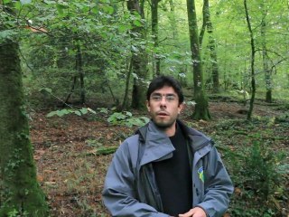 Escargot de Quimper 2