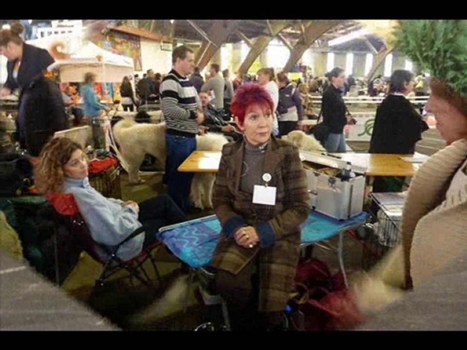 expo poitiers 24.10.2010
