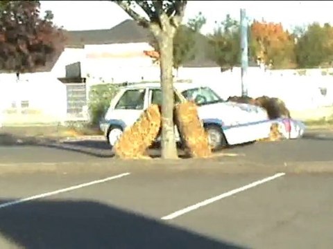 SLALOM GIEN (45) 2010 SPECIAL CHRISTOPHE SCHERRENS