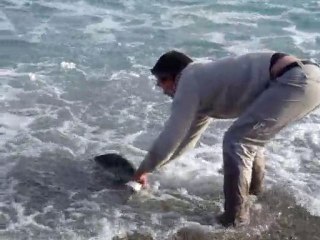Relâche d'une liche dans le 06 pêchée aux leurres