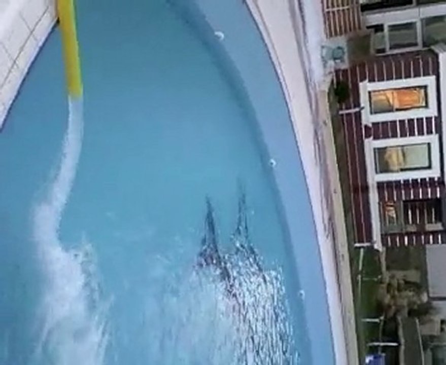 KULLANMA SUYU 0532 477 01 08 TANKER SUYU HAVUZ SUYU TANKER SU TANKER SUCU