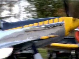 P-51 Mustang Thanksgiving - Free Download