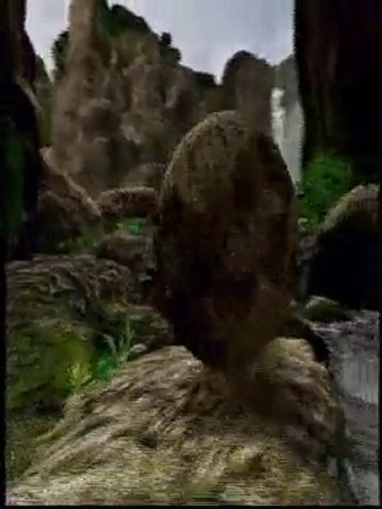 WILD JUNGLE - Motion Ride 2001