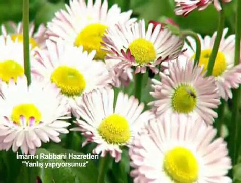 Yanlış yapıyorsunuz İmâm-ı Rabbani hazretleri,