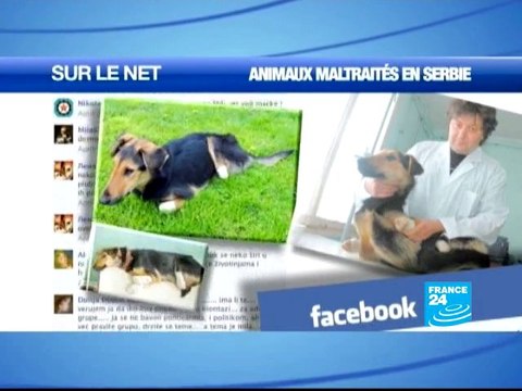 Les Suisses votent sur le renvoi des criminels étrangers