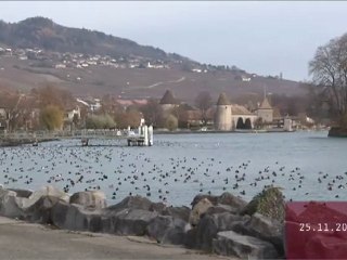 VUES SUR L'ACTU du 25 novembre 2010