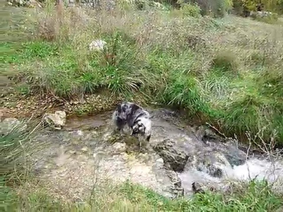 Boogie à la source de Boulon à Robion (84)